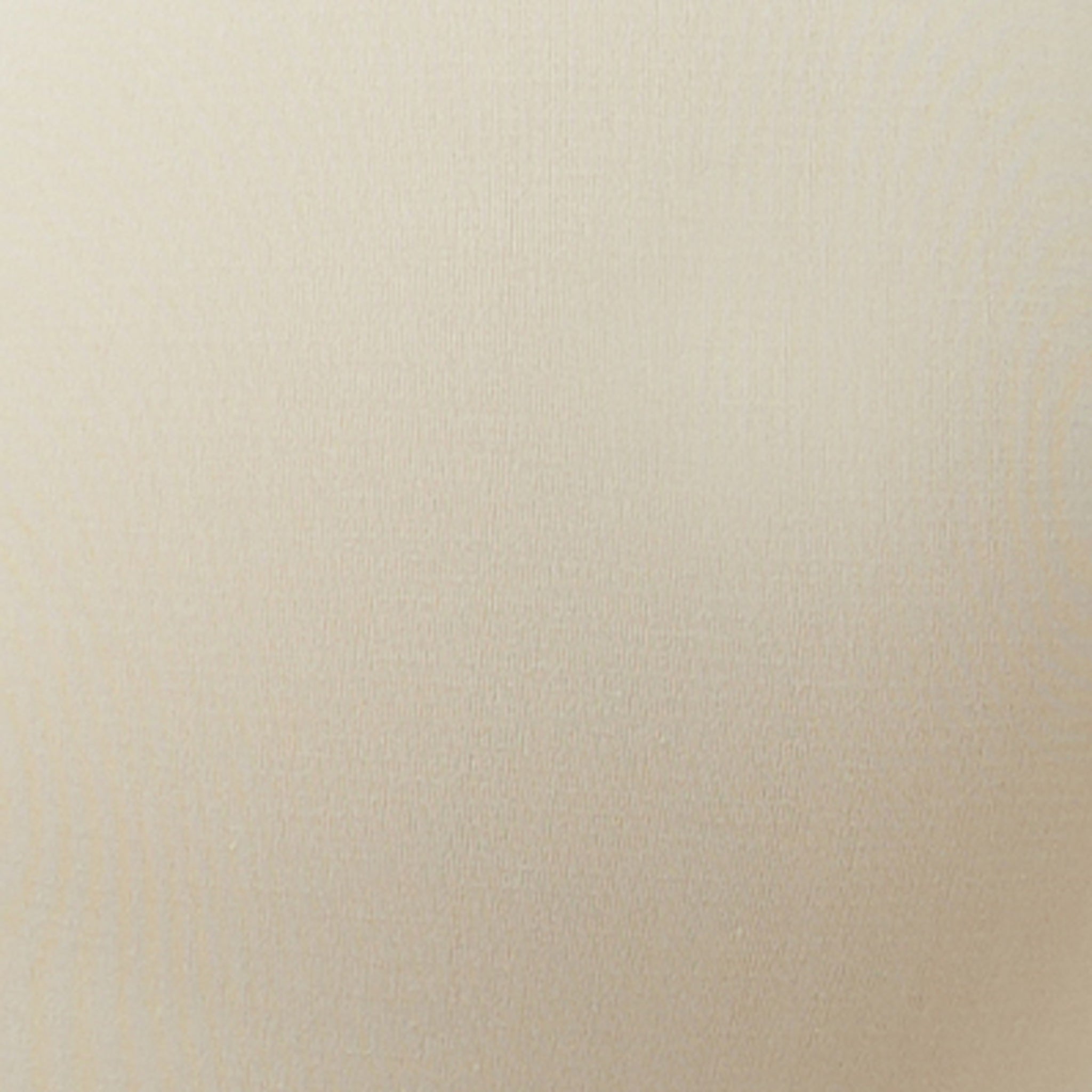 Seamless Brief Natural