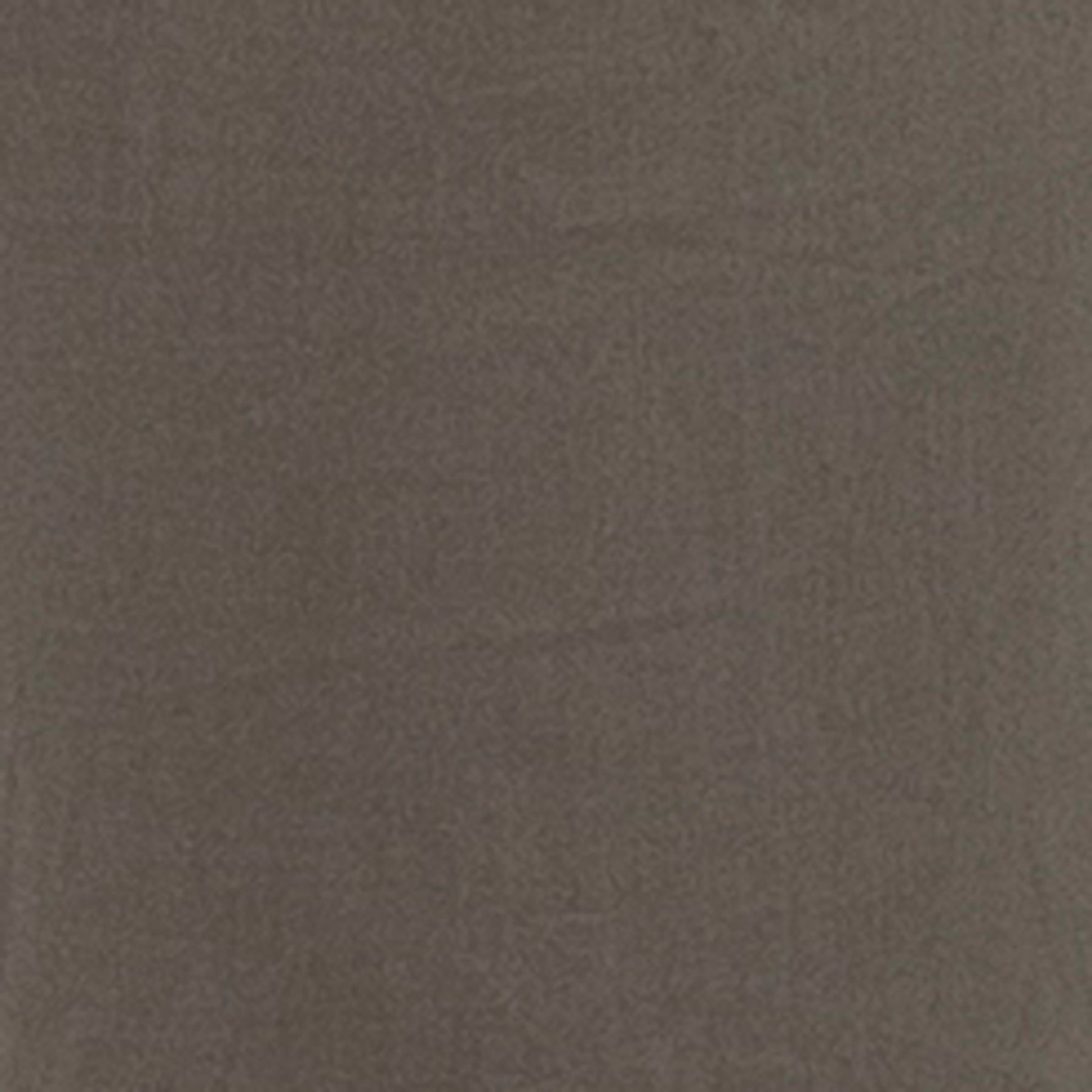 Philly Cotton Pant Moss