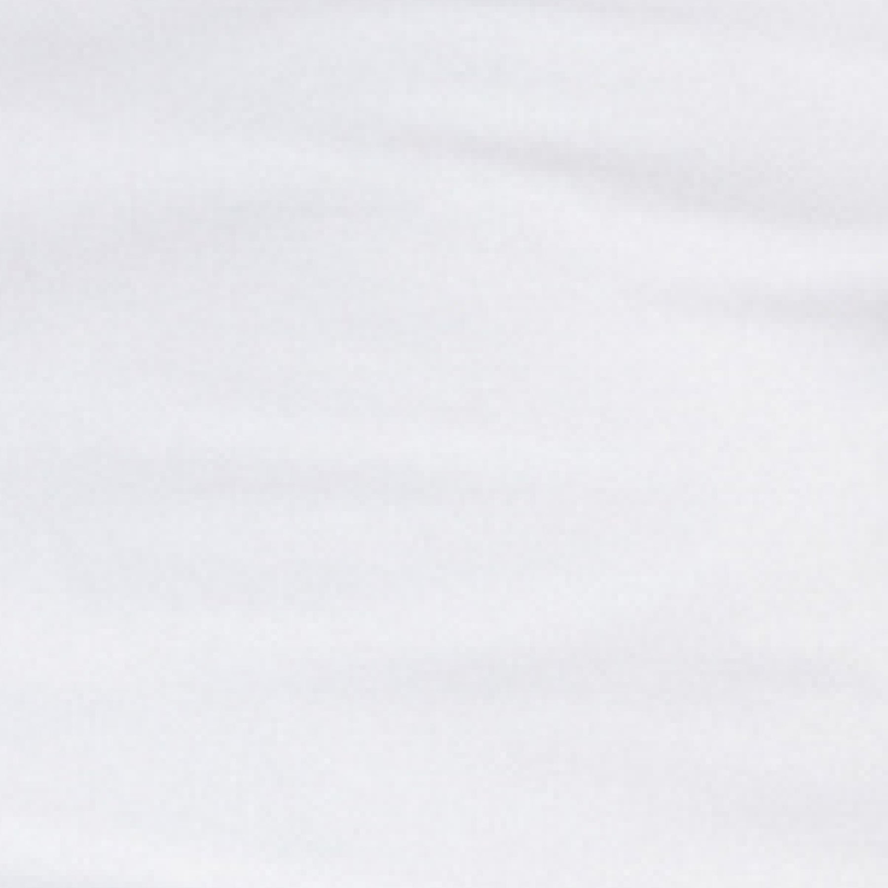 Solid light gray color swatch