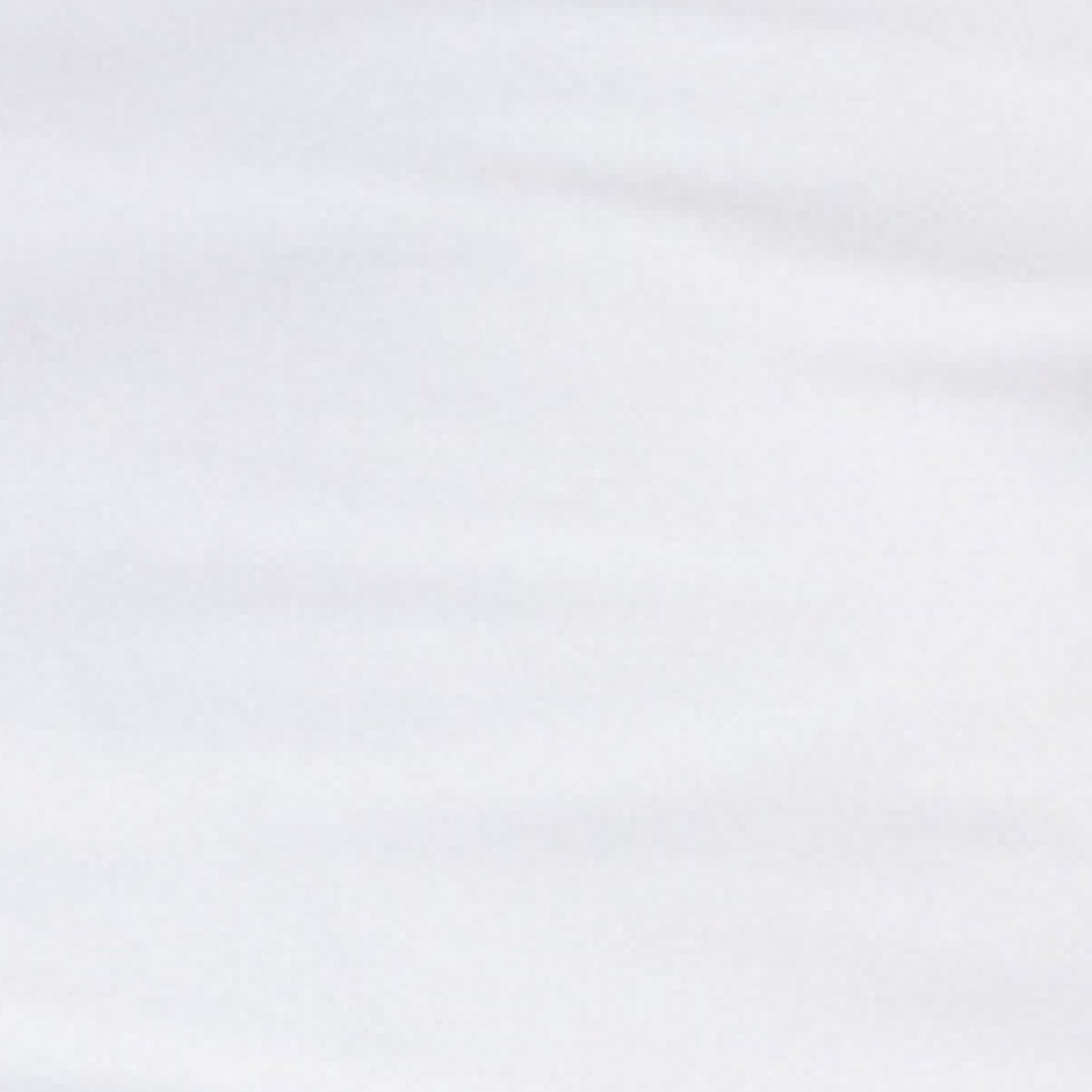 Solid light gray color swatch